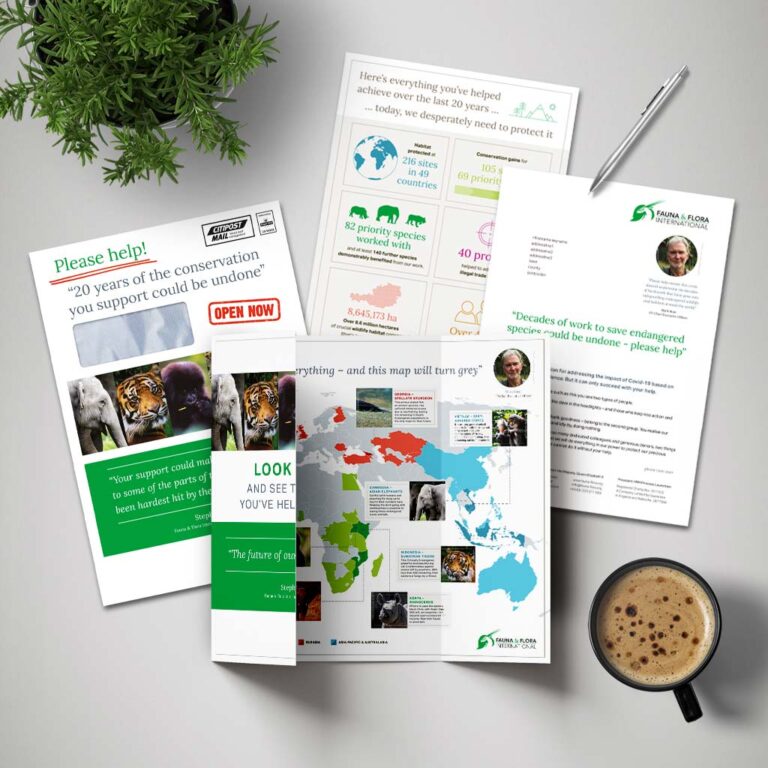 creative graphic design direct mail design