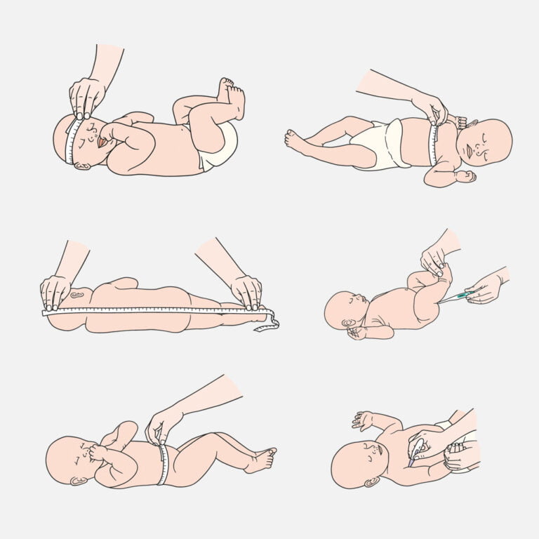 Baby development illustration for Baby Foundations worksheet